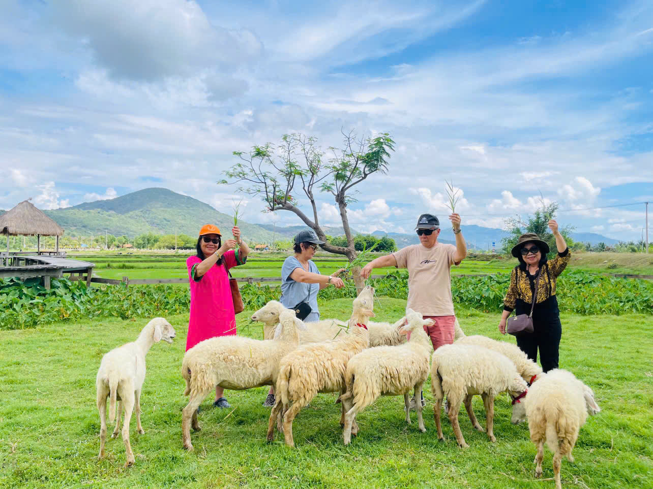Tour Ninh Thuận