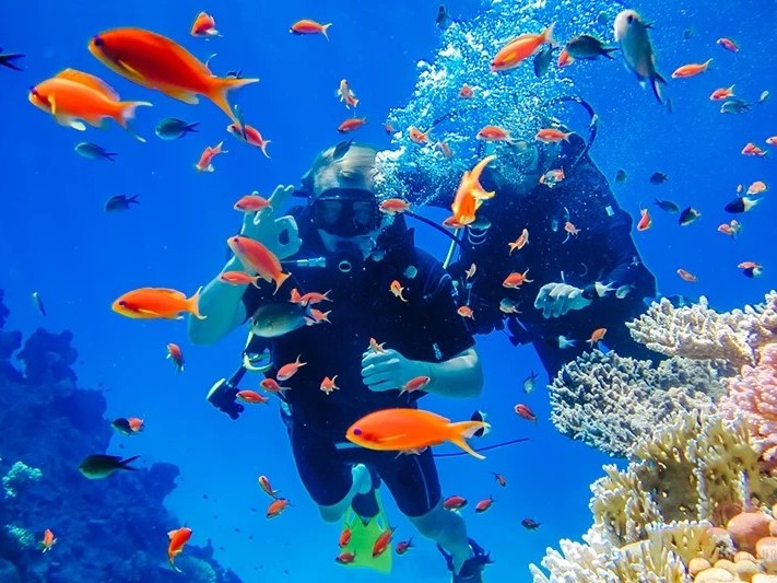 Tour Scuba Diving