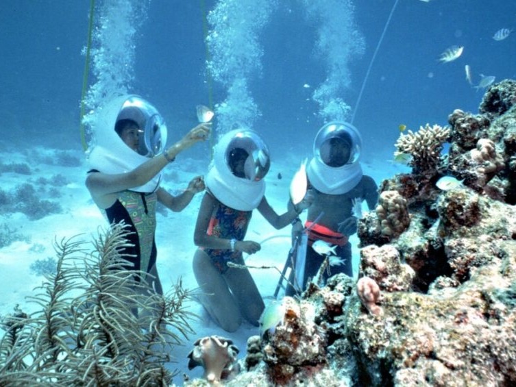 Tour Sea Walking